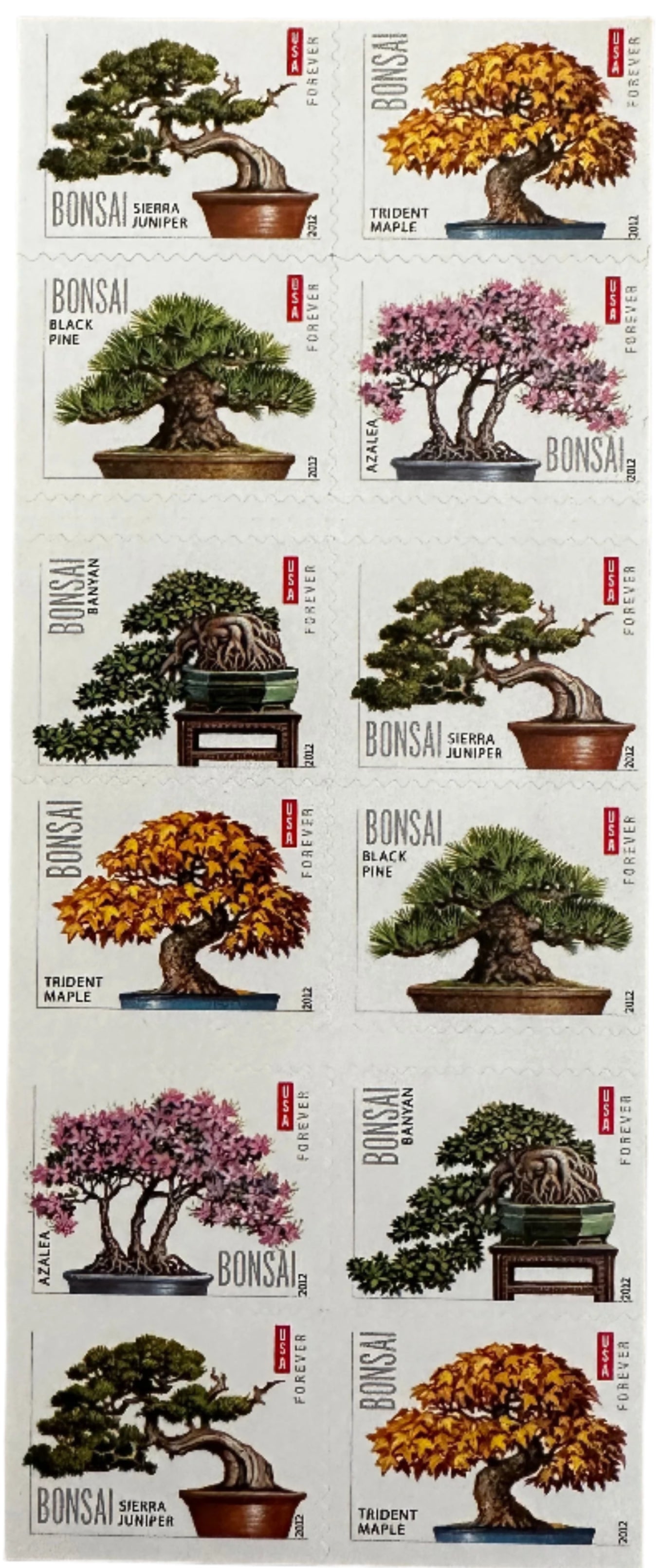 Bonsai Tree Forever Postage Stamps