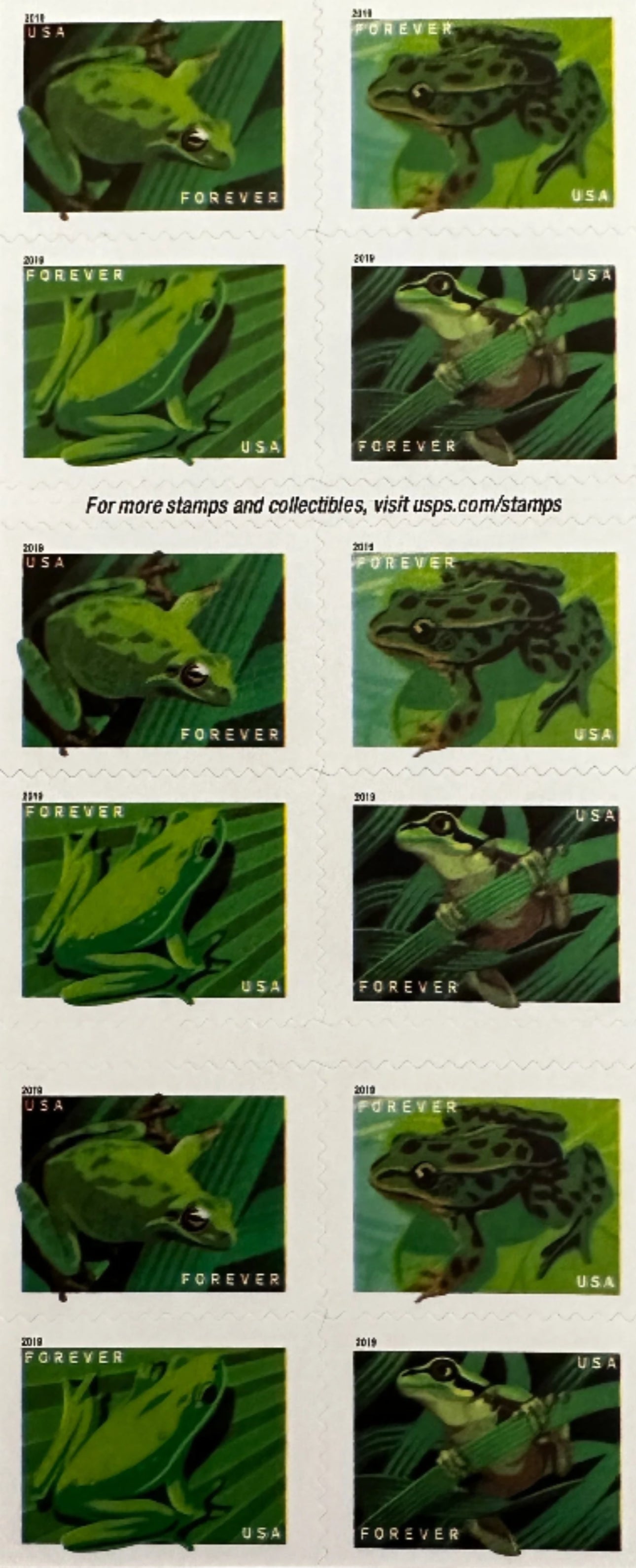 Frogs Forever Postage Stamps