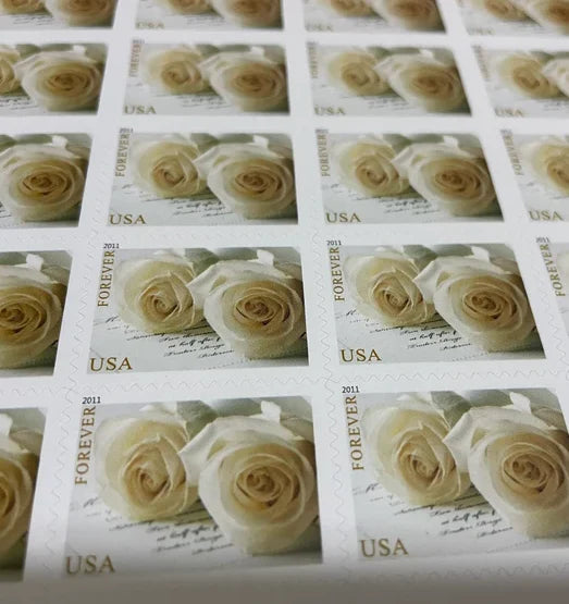 Wedding White Rose Forever Postage Stamps
