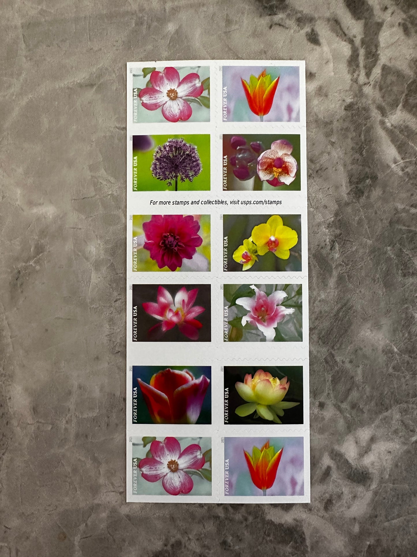 Garden Beauty Forever Postage Stamps
